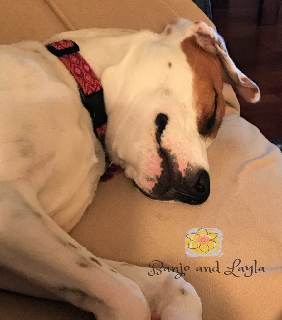 layla-smiling-in-sleep-904x1024-9771205