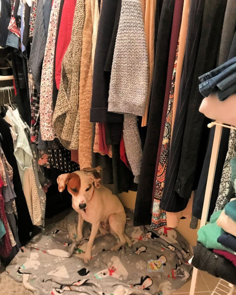 homeorganizingtipsdogbedincloset-1-820x1024-8841284